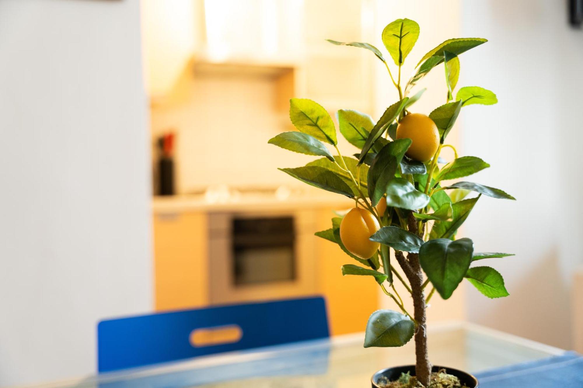 Nice Quiet Flat In Pta Venezia ミラノ エクステリア 写真
